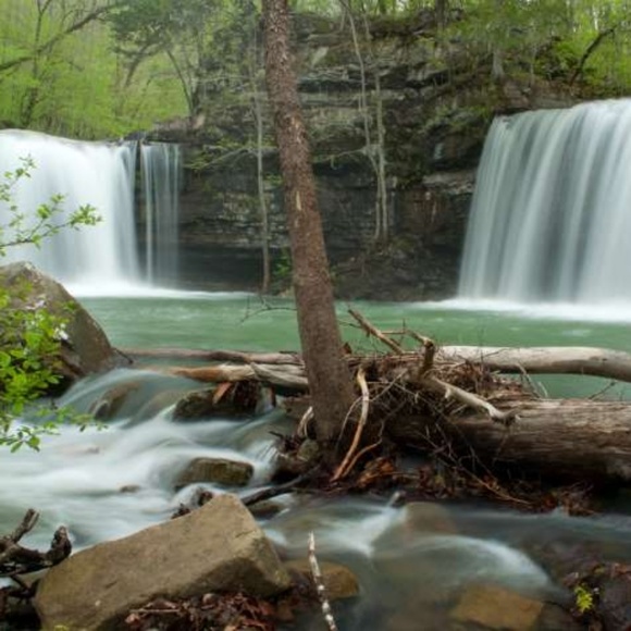 Jimbo & G - Posh' Mentor - Picture 3 of 8